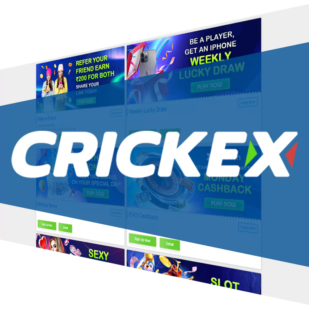 आधिकारिक Crickex वेबसाइट पर हमारी कंपनी के बारे में अधिक जानें।