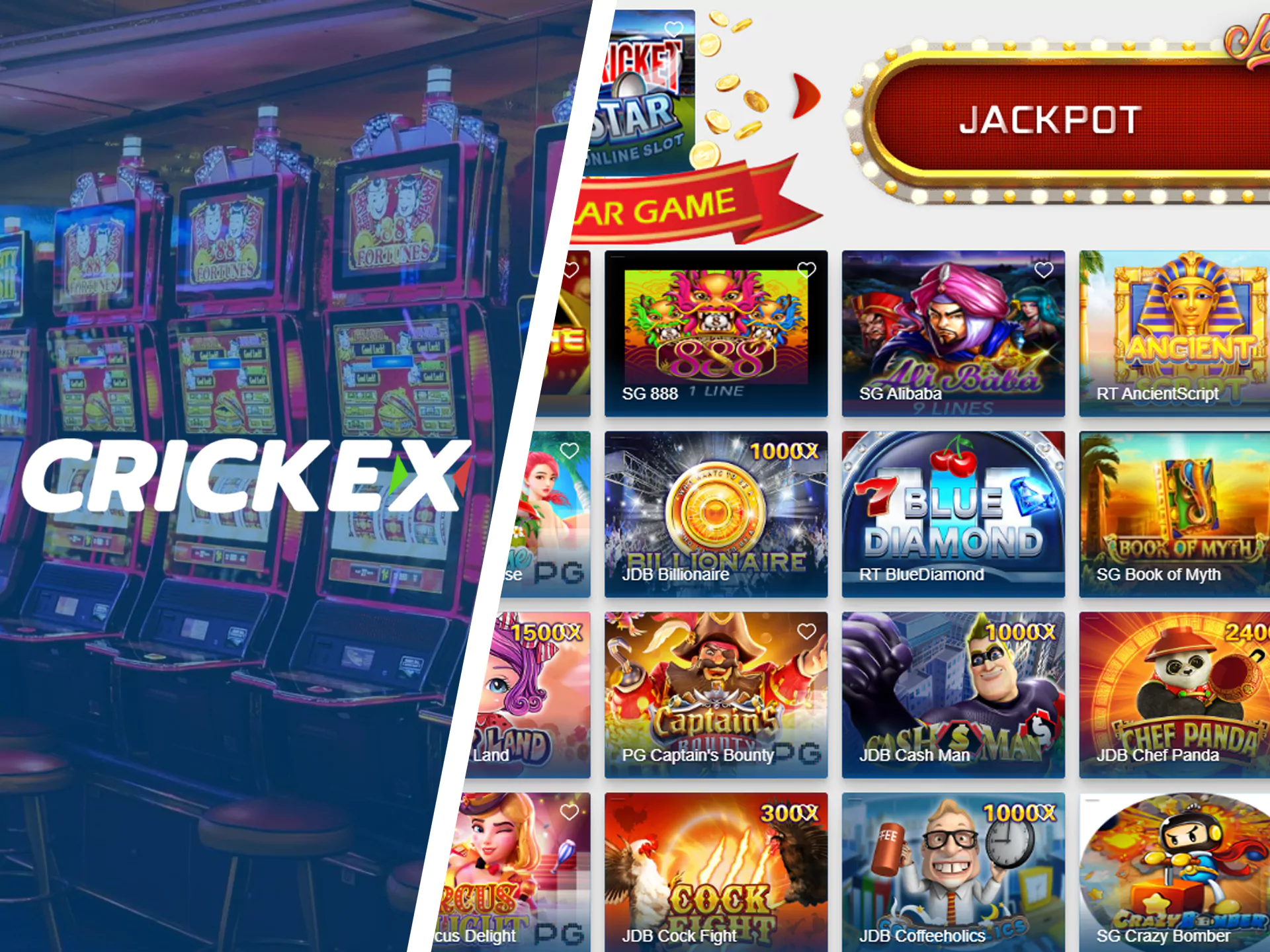 Play Crickex slots for fun and enrichment.