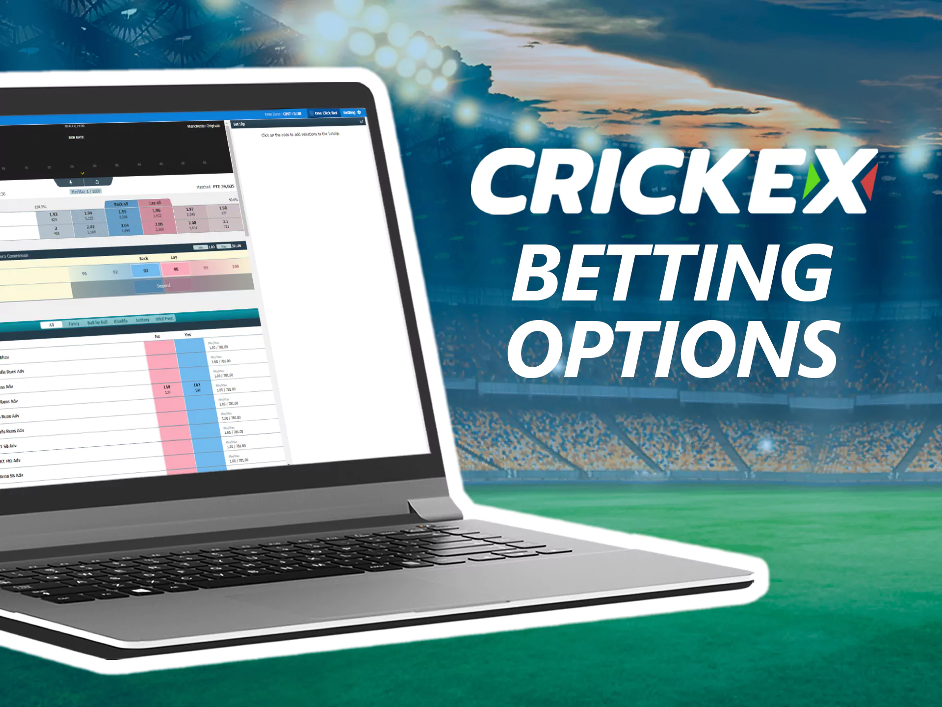 Crickex offers a variety of options for sports betting.