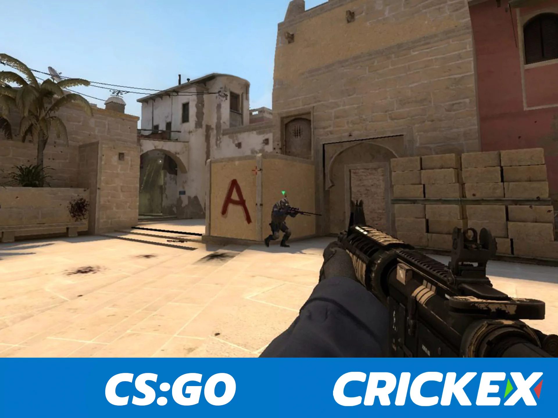 Crickex offers betting on CS:GO in India.