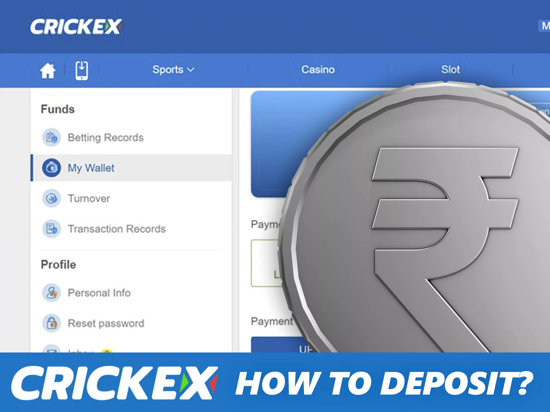 Make a deposit to Crickex in any supported way.