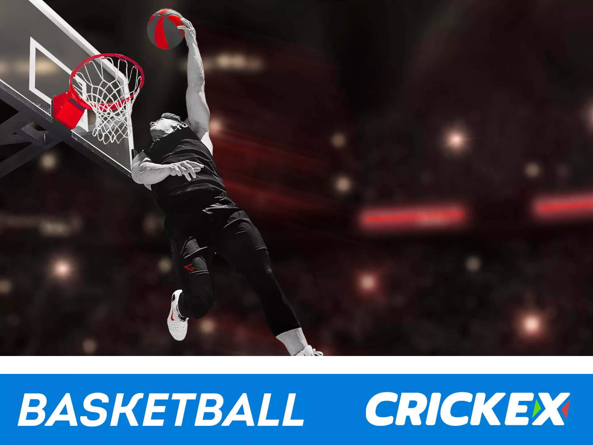 Bet on basketball with Crickex.