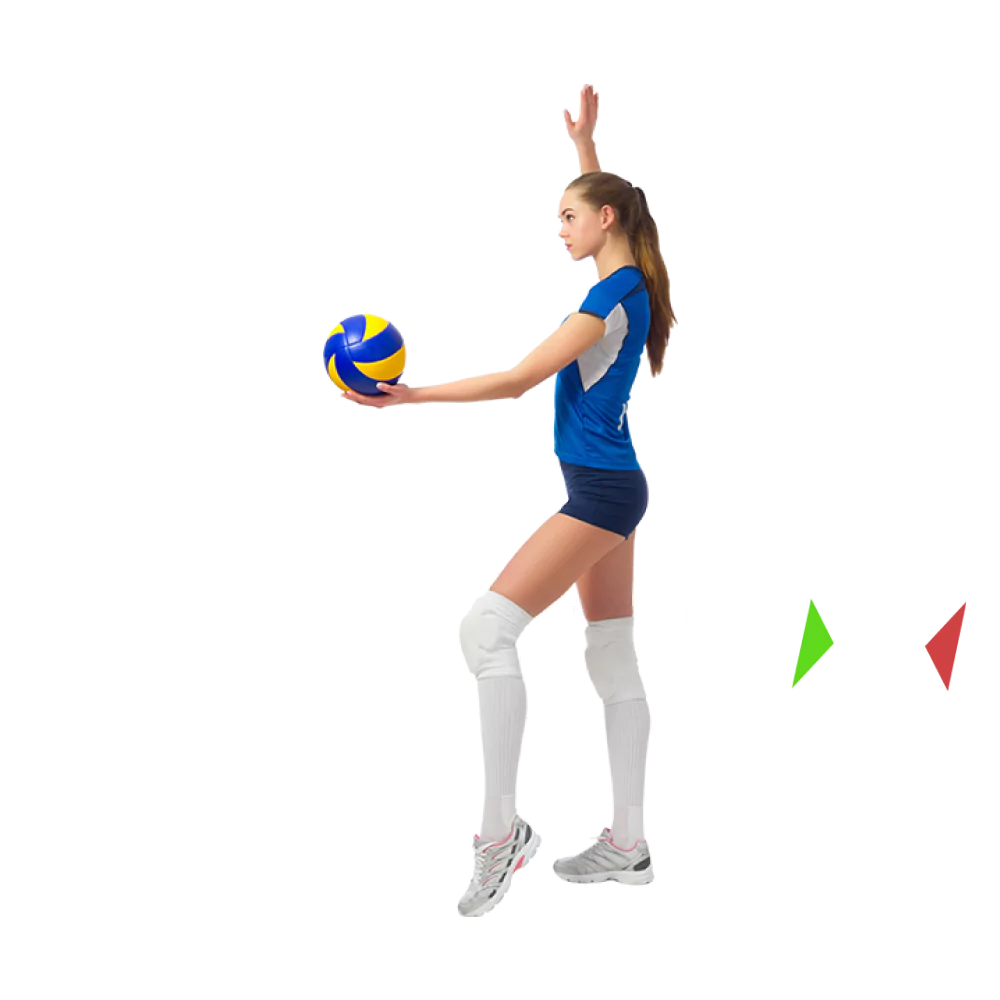 Bet on volleyball with Crickex.