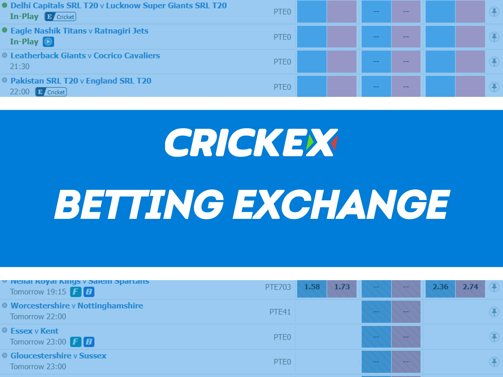 Choose what you want to bet on Crickex.