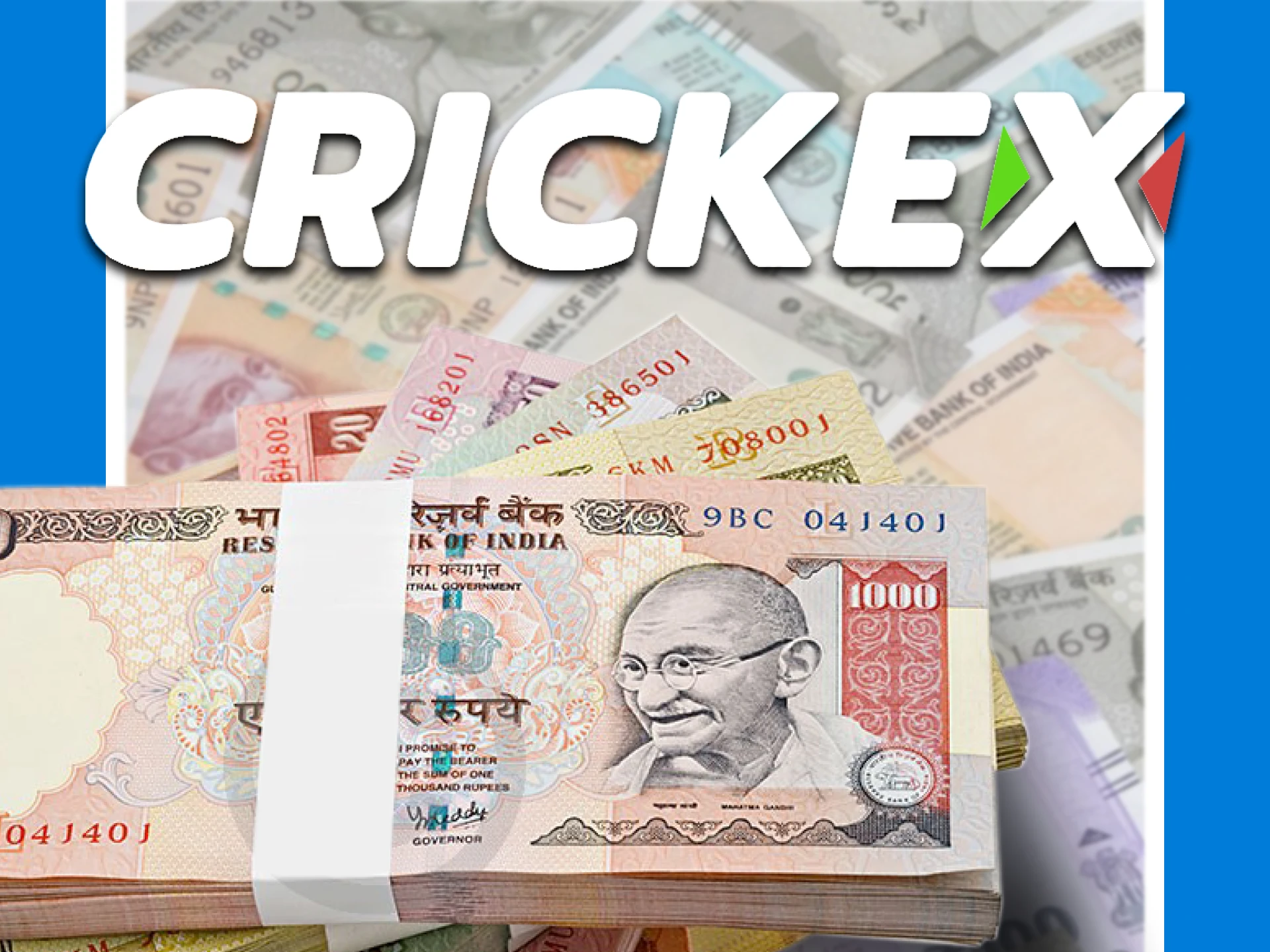 The Crickex payment system allows you to use Rupees.